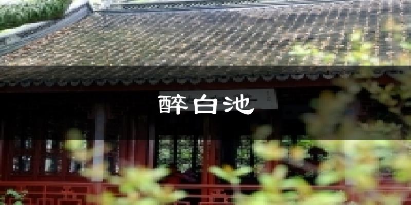醉白池天气未来15天