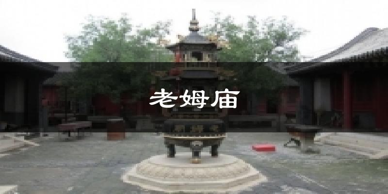 老姆庙今日天气
