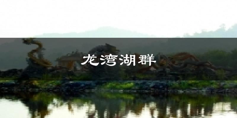 龙湾湖群天气未来15天