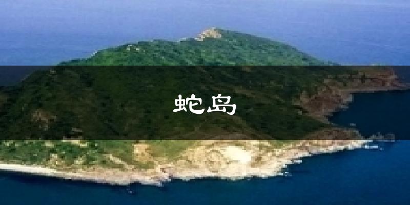 蛇岛今日天气