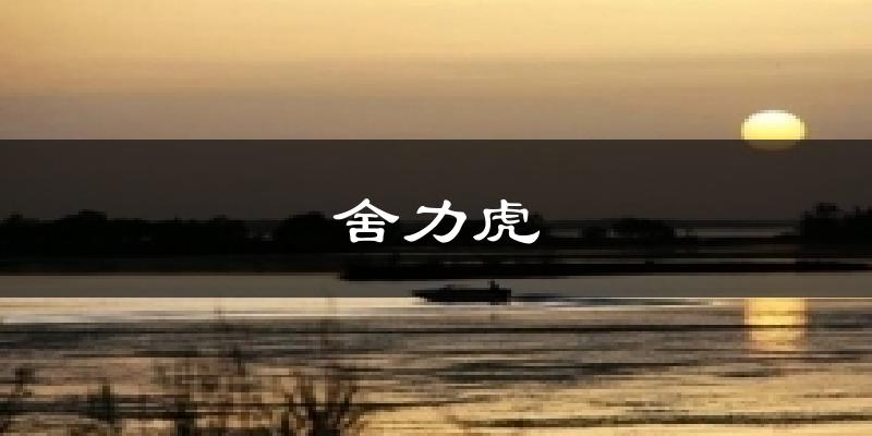 舍力虎天气未来15天