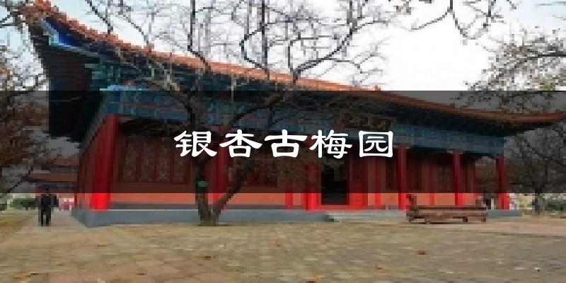 银杏古梅园天气未来15天