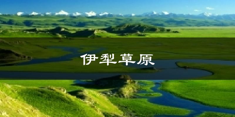 伊犁草原天气未来15天