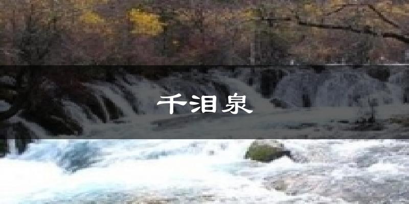 千泪泉天气未来15天