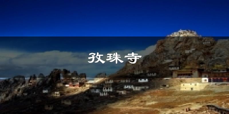 孜珠寺今日天气