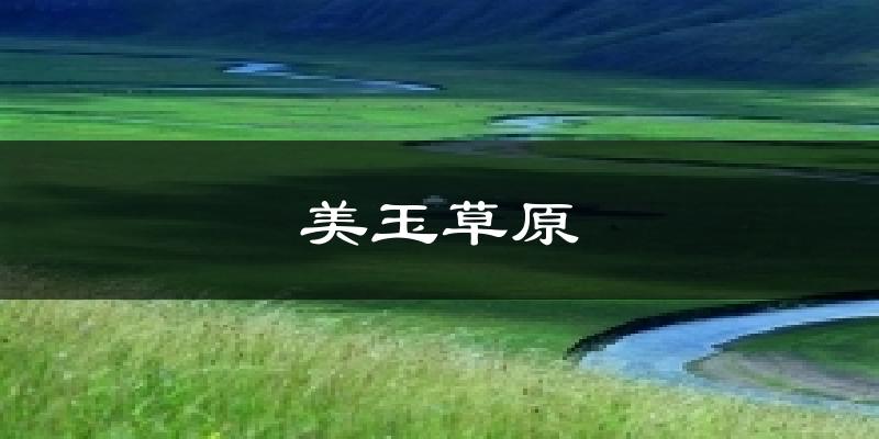 美玉草原今日天气