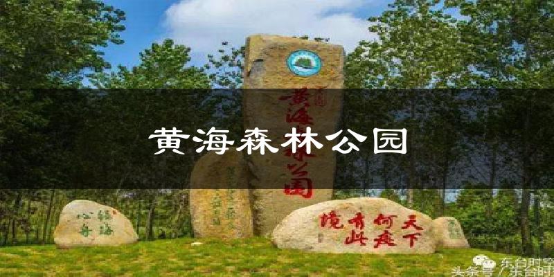 黄海森林公园气温