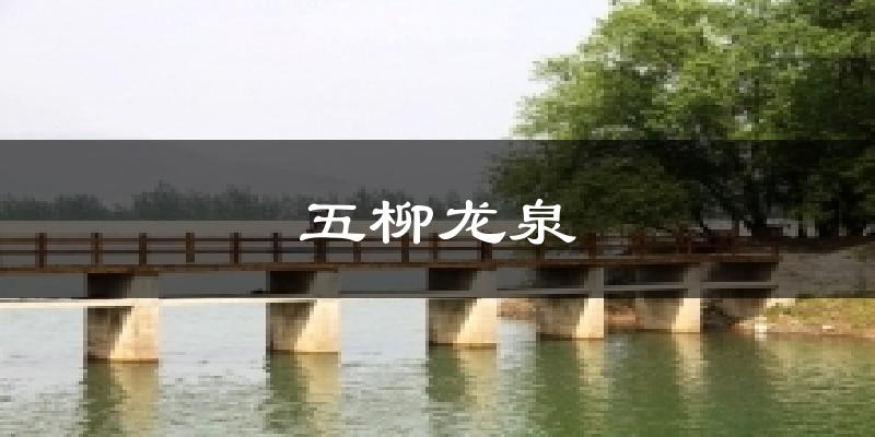 五柳龙泉天气未来15天