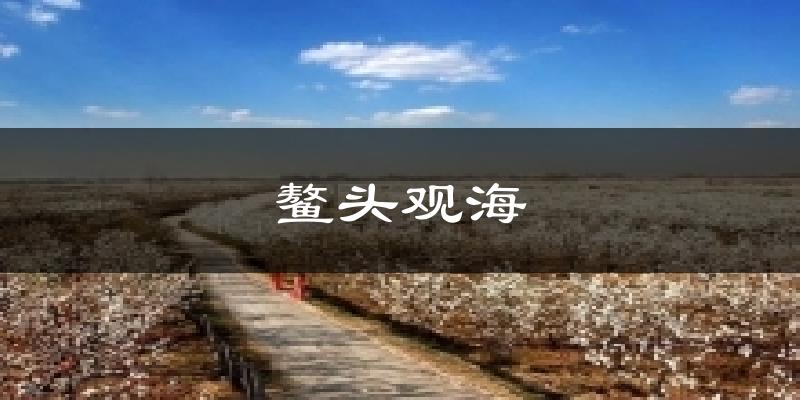 鳌头观海气温