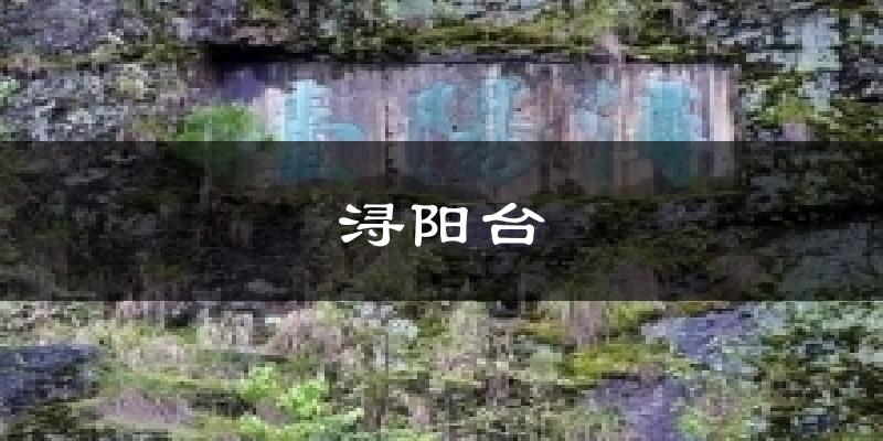 浔阳台今日天气