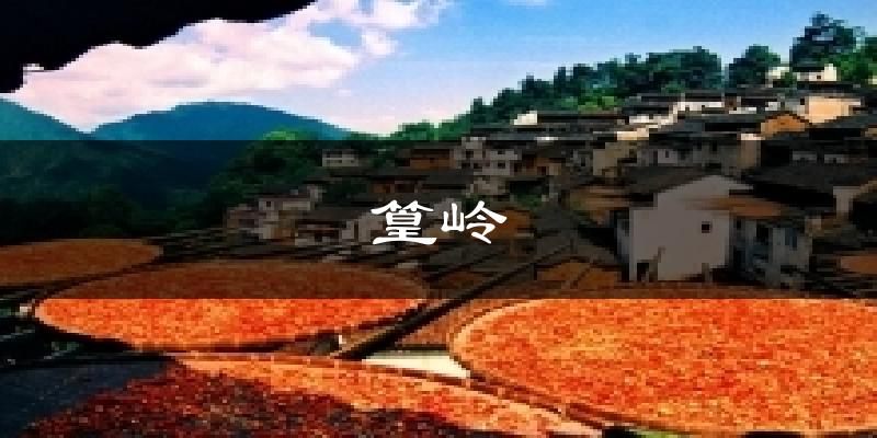 篁岭今日天气