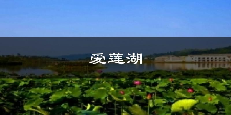 爱莲湖天气未来15天