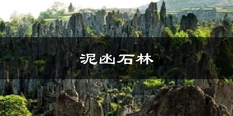 泥凼石林天气未来15天