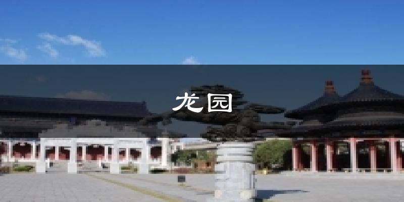 龙园天气未来15天