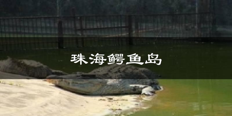 珠海鳄鱼岛天气未来15天