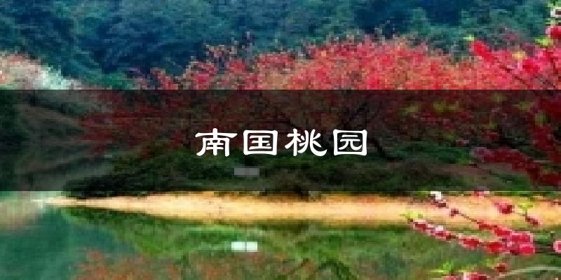 南国桃园天气未来15天