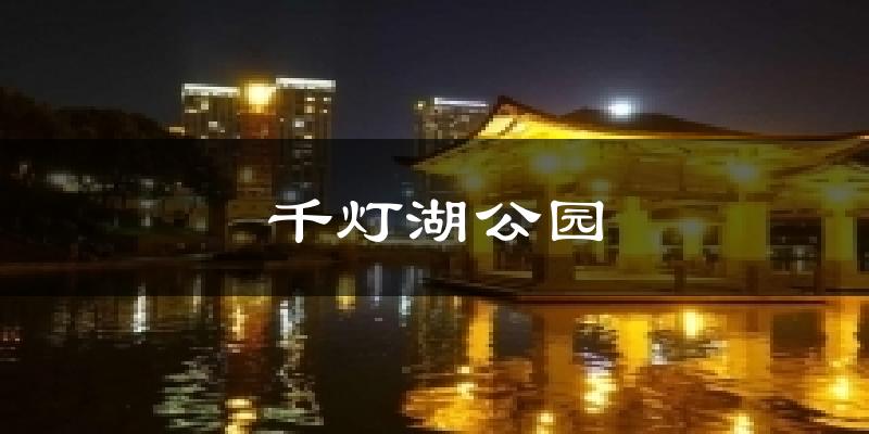 千灯湖公园天气未来15天