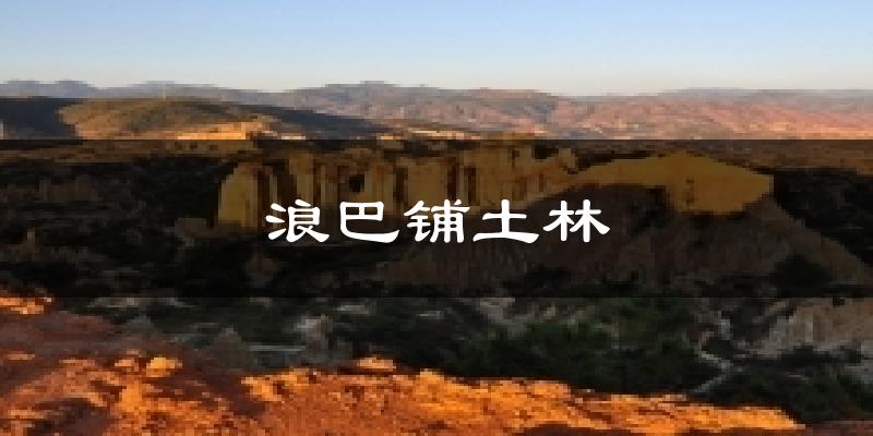 浪巴铺土林今日天气