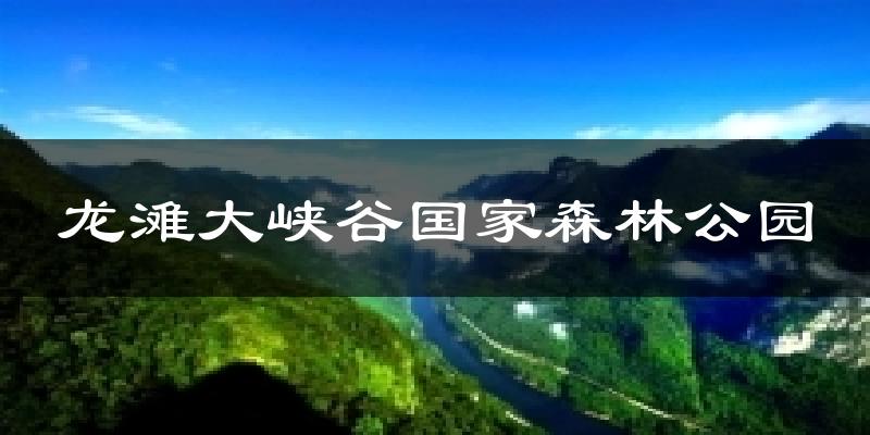 龙滩大峡谷国家森林公园今日天气